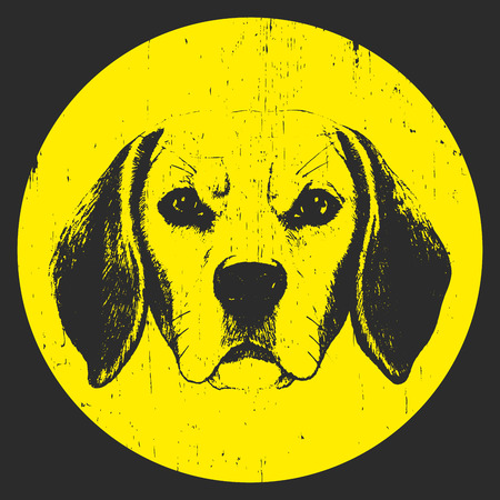 Portrait of Beagle Dog. Hand drawn illustration. Vector.のイラスト素材