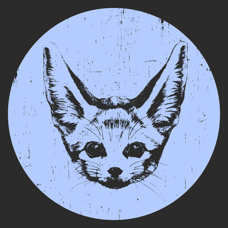 Portrait of Fennec Fox. Hand drawn illustration. Vector.のイラスト素材