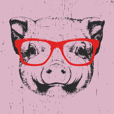 Portrait of Piggy with glasses. Hand drawn illustration. Vectorのイラスト素材