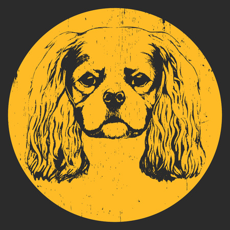 Portrait of Cavalier King Charles Spaniel. Hand drawn illustration. Vectorのイラスト素材