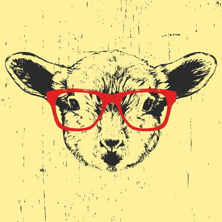 Portrait of Lamb with glasses. Hand drawn illustration. Vectorのイラスト素材