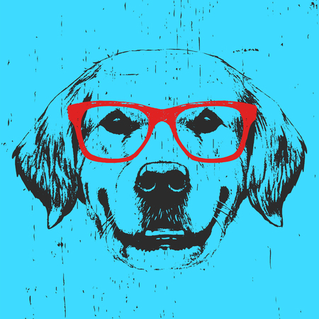 Portrait of Golden Retriever with glasses. Hand drawn illustration. Vector.のイラスト素材