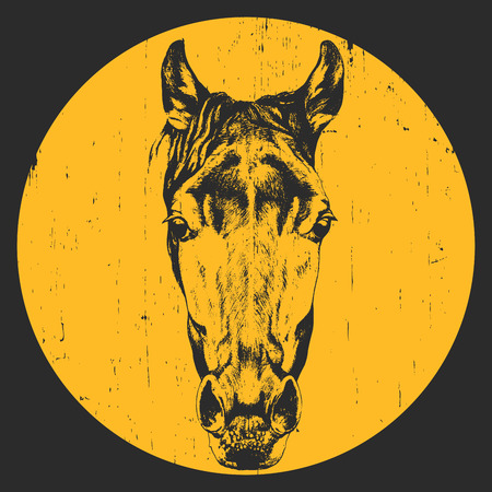 Portrait of Horse. Hand drawn illustration. Vectorのイラスト素材