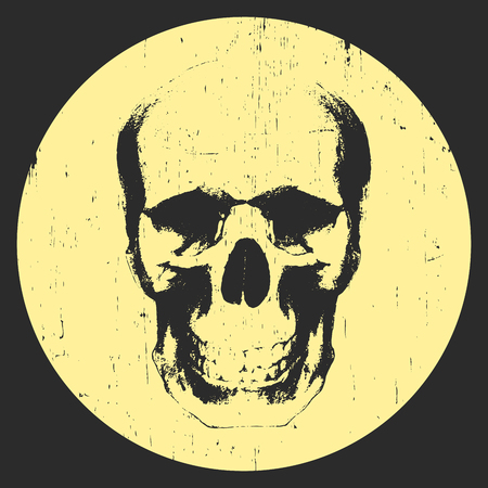 Portrait of Skull. Hand-drawn illustration. T-shirt design. Vectorのイラスト素材