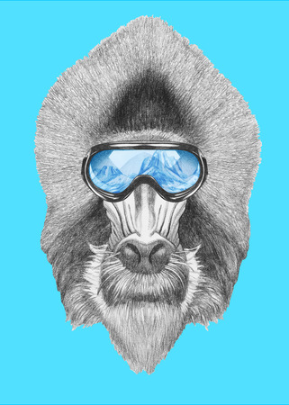 Portrait of Mandrill with ski goggles. Hand drawn illustration.の写真素材