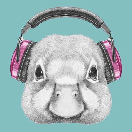 Portrait of Duck with headphones. Hand drawn illustration.の写真素材