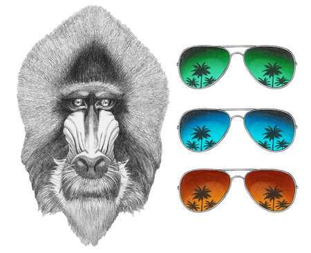 Portrait of Mandrill with mirror sunglasses. Hand drawn illustration.の写真素材