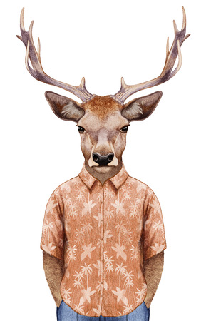 Portrait of Deer in summer shirt. Hand-drawn illustration, digitally colored.の写真素材
