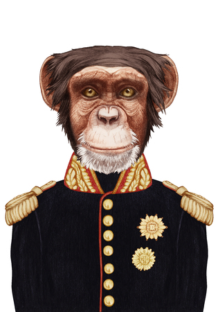 Portrait of Monkey in military uniform. Hand-drawn illustration, digitally colored.の写真素材