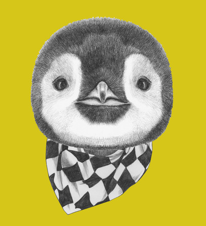 Portrait of Penguin with scarf. Hand drawn illustration.の写真素材