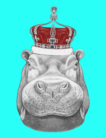 Portrait of Hippo with crown. Hand drawn illustration.の写真素材