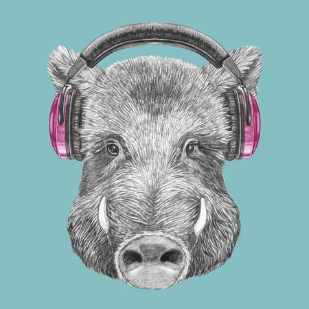 Portrait of Boar with headphones. Hand-drawn illustration.の写真素材