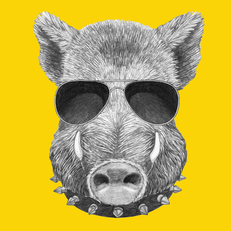 Portrait of Boar with glasses and collar. Hand-drawn illustration.の写真素材