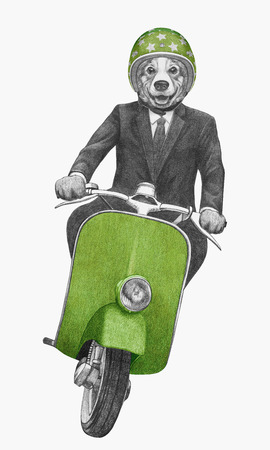 Pembroke Welsh Corgi rides scooter. Hand-drawn illustration.の写真素材