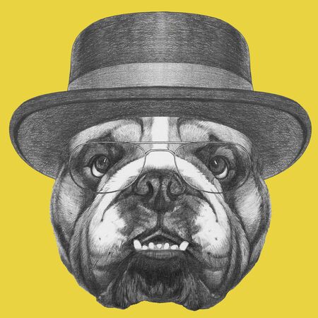 Portrait of English Bulldog with hat and glasses, hand-drawn illustrationの写真素材
