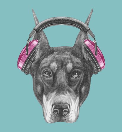 Portrait of Doberman Pinscher with headphones, hand-drawn illustrationの写真素材