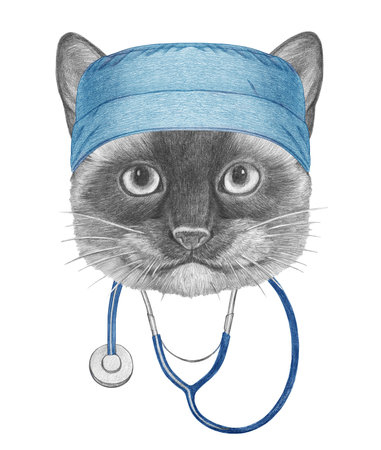 Portrait of Siamese Cat with doctor cap and stethoscope. Hand-drawn illustration.の写真素材