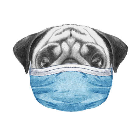 Portrait of Pug with face mask. Hand-drawn illustration.の写真素材