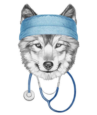 Portrait of Wolf with doctor cap and stethoscope. Hand-drawn illustration.