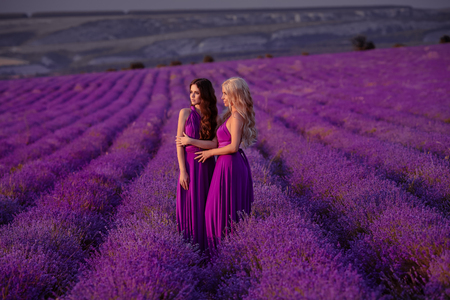 Carefree two beautiful women enjoying sunset in lavender field. Harmony. Attractive blond and brunette with long curly hair style in purple dress dreaming.の写真素材