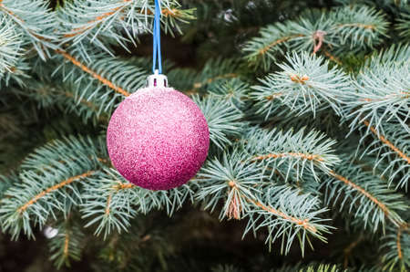 Decorative toy on a Christmas tree with selective focus. Festive background for Christmas.の写真素材