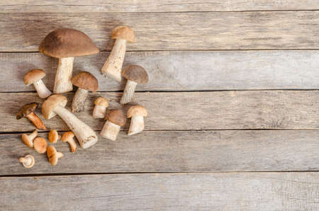 Edible raw wild boletus mushrooms on an old wooden background with copy space.の写真素材