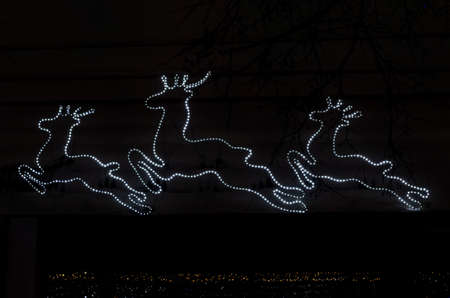Festive background of glowing garlands in the form of deer for Christmas and New Year. Night showcasesの写真素材