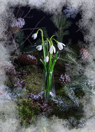 Christmas home decoration - composition of snowdrops on a natural moss background, home decoration ideaの写真素材
