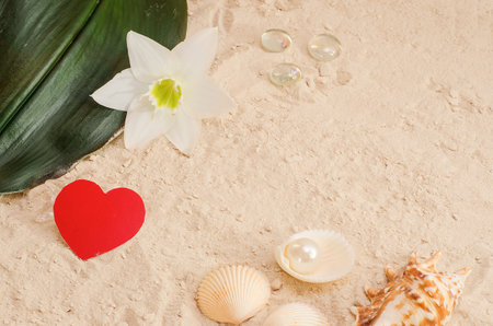 Travel, vacation, voucher for Valentine's Day. Red heart in the sand with a white flower and shells. For travel agencies and travel agents.の写真素材