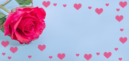 Valentine's Day banner background. Red rose with a frame of red hearts on a pastel blue background with copy space.の写真素材