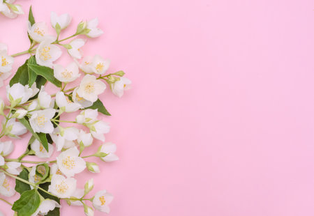 Greeting card background, delicate jasmine flowers on a light pink background with copy space with selective focusの写真素材