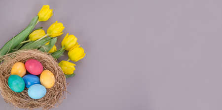 Easter card background banner, colorful Easter eggs with a bouquet of yellow tulips on a gray background, with copy spaceの写真素材
