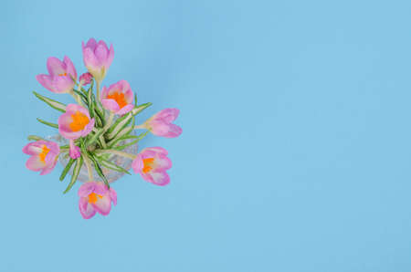 Greeting card background for spring holidays, bouquet of primroses flowers on blue background, with copy spaceの写真素材