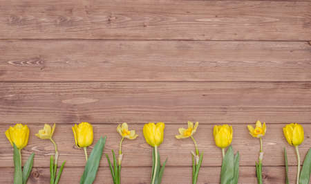 Greeting card background for spring holidays, bouquet of yellow tulips on wooden background, with...