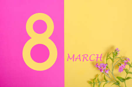Creative card background for March 8, with flowers on a yellow-pink background, international womens dayの写真素材