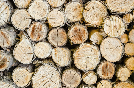 Background of round sawn wooden logs with a gray-brown tint with selective focus for website designの写真素材