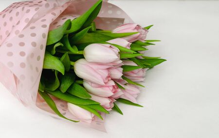 beautiful bouquet of pink tulips, flowers on a light background in a bouquet, a gift for the holiday, beautiful background, close-uの写真素材