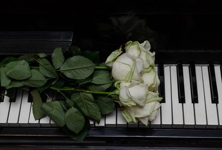 white roses with green leaves on the keys of an old piano, closeupの写真素材