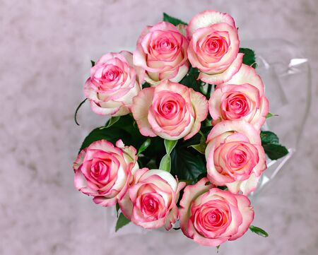pink rose flowers, natural cut flowers on a light background, close-upの写真素材