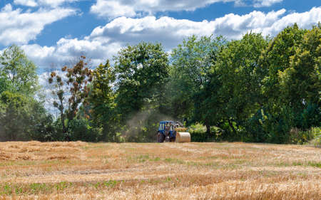 straw in round bales and a tractor in the field, agricultural work on a summer dayの写真素材