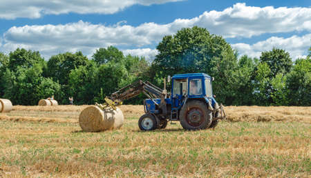 straw in round bales and a tractor in the field, agricultural work on a summer dayの写真素材