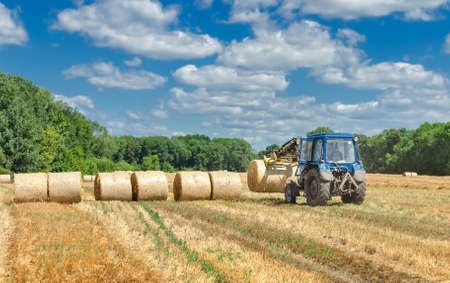 straw in round bales and a tractor in the field, agricultural work on a summer dayの写真素材