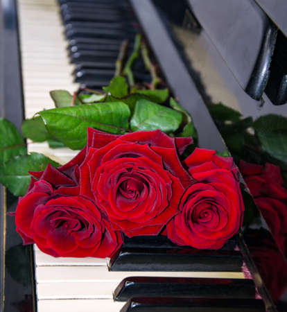 bouquet of red roses on piano keys, flowers close upの写真素材