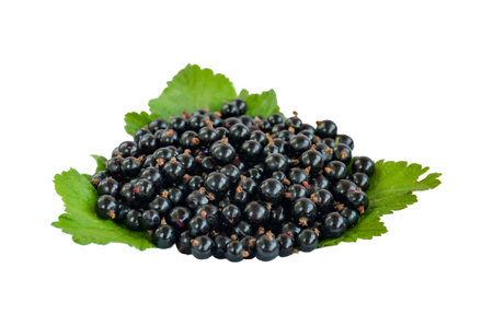 Black currant berry with leaves isolated on white background with copy space .Close up.の写真素材