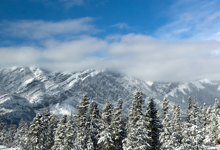 Snow-covered mountains rise beneath a partly cloudy sky, surrounded by evergreen trees glistening in the winter light.の写真素材