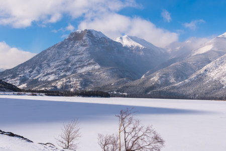 Snow-covered mountains rise beneath a partly cloudy sky, surrounded by evergreen trees glistening in the winter light.の写真素材