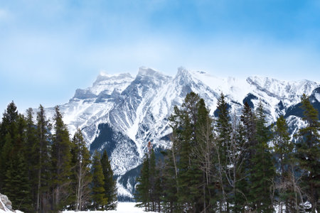 Snow-covered mountains rise beneath a partly cloudy sky, surrounded by evergreen trees glistening in...