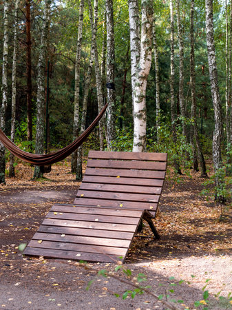 A wooden recliner chair rests on autumn forest ground alongside a suspended hammock amidst birch trees and colorful foliage.の写真素材