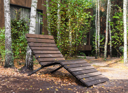 A wooden chair-chair lies on the ground of the autumn forest nearby among birch trees and colorful leaves..の写真素材