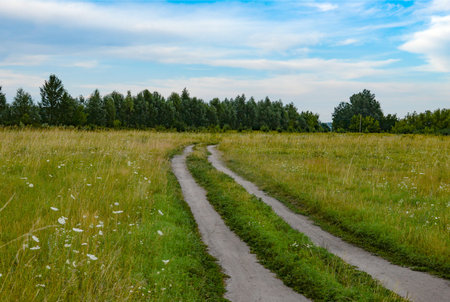 A winding dirt country road winds through a green summer meadow dotted with white wildflowers,...